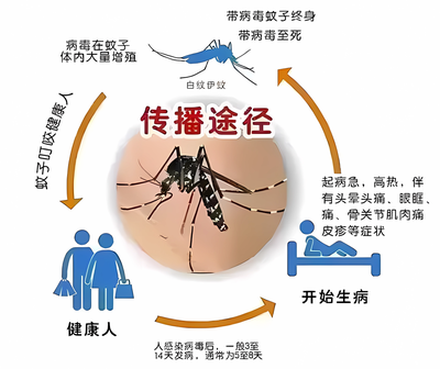 长假将至,国家疾控局最新通知 →