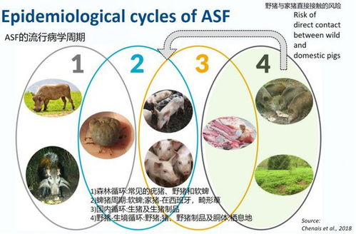 非洲猪瘟防控专题 第一届兽医检测诊断大会聚焦流行病学