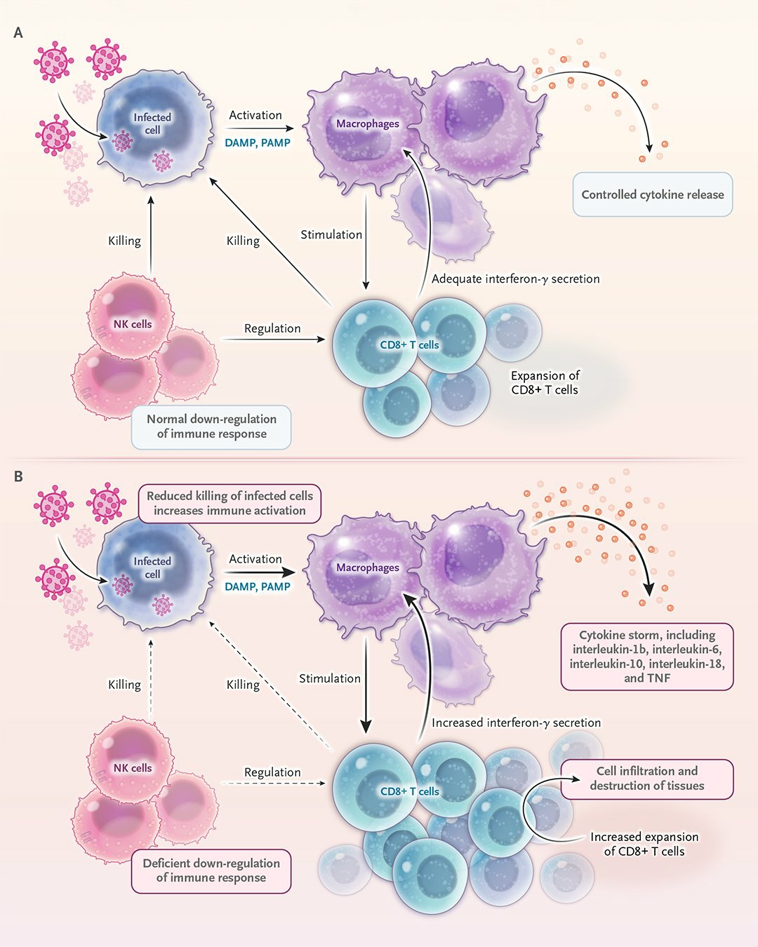 噬血细胞综合征 一种细胞因子风暴引发的危重疾病及其流行病学概览